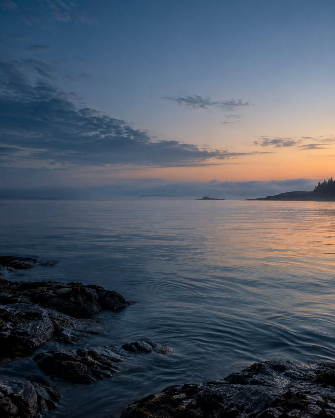 Atmospheric landscape background